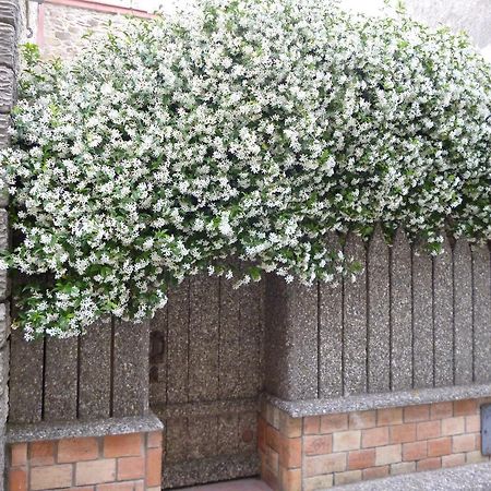 Chambres d'Hôtes La Rose des Vents Ginestas Exterior foto