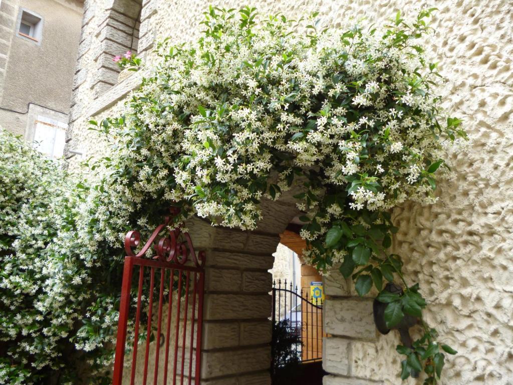 Chambres d'Hôtes La Rose des Vents Ginestas Exterior foto